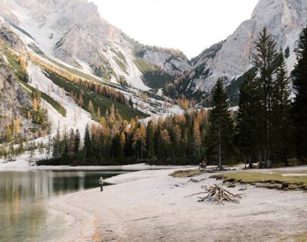 Panel 10: Media Panel