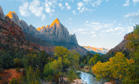 Panel 7: Side by Side (Video)